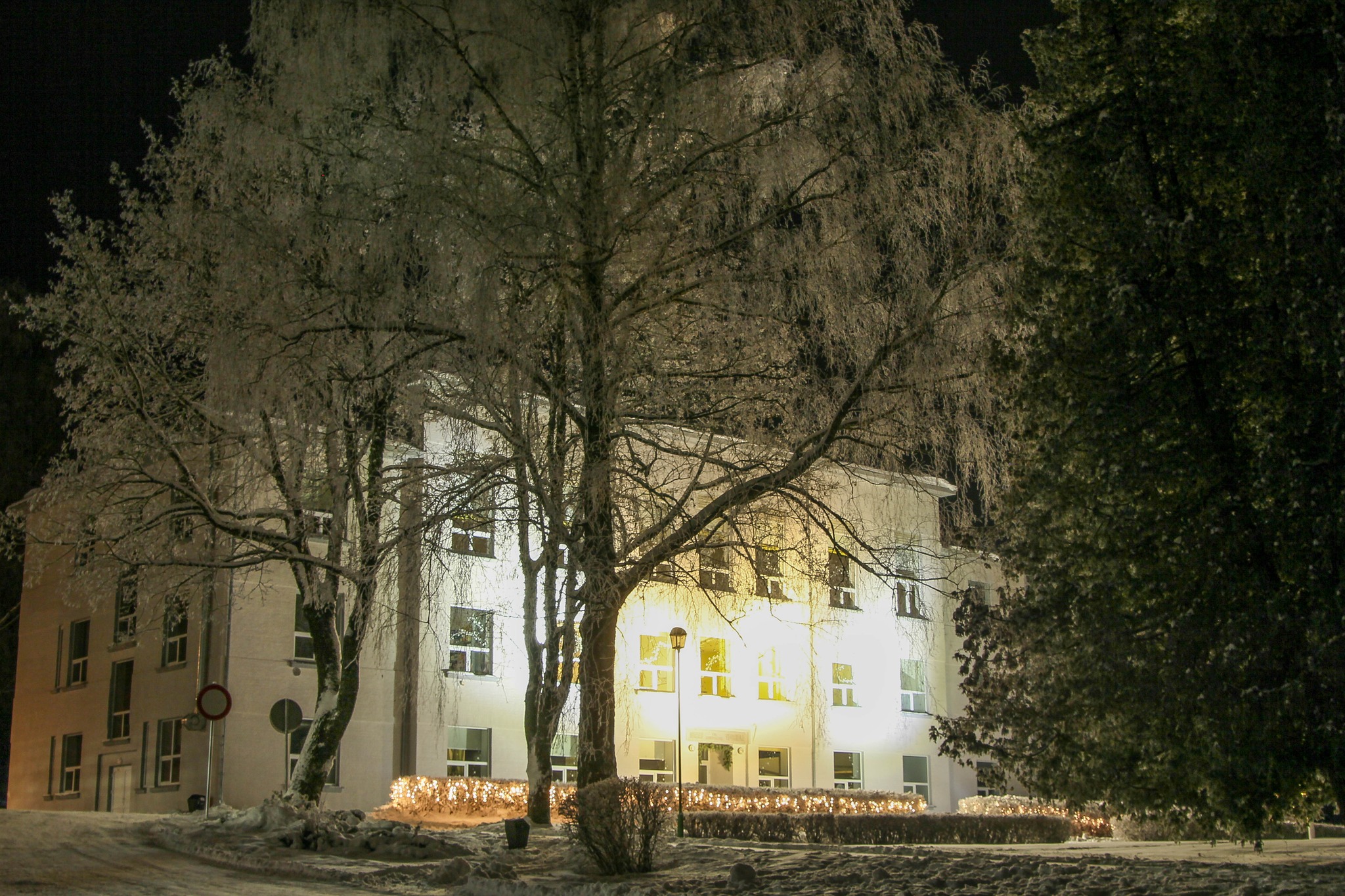 Ziema skola